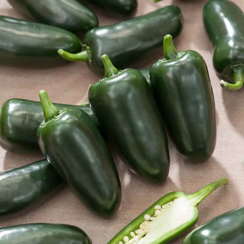 VEGSOW Jalapeno M Pepper Seeds for Home Gardening