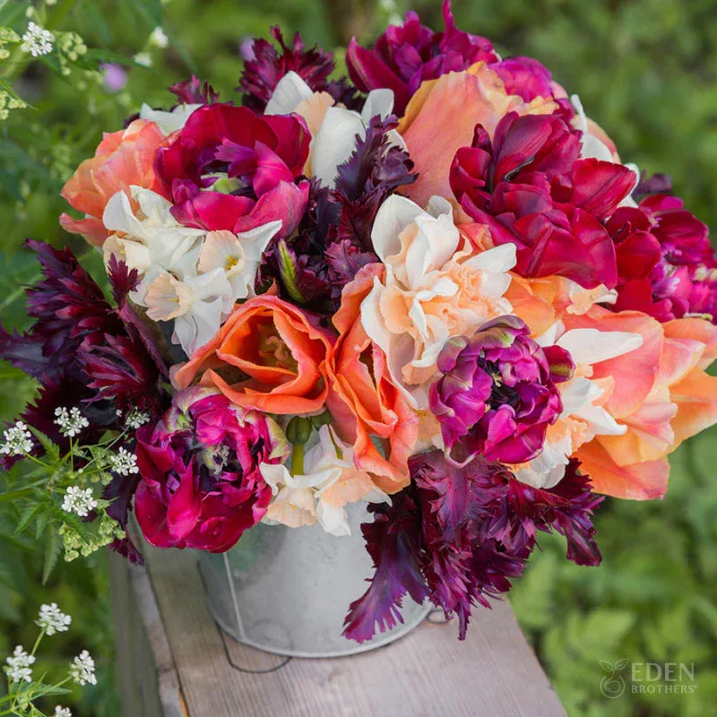 VEGSOW Tulip & Daffodil Spring Cottage Collection