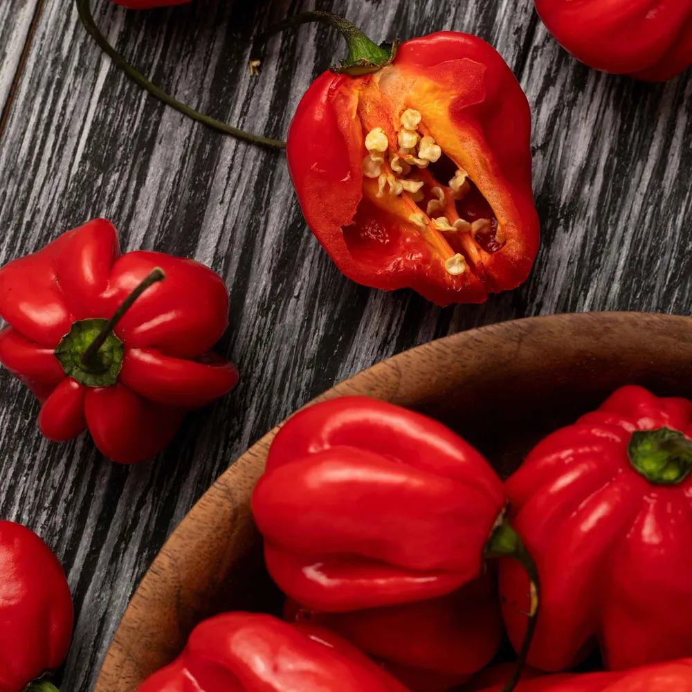 VEGSOW Habanero Red Pepper Seeds - Heirloom Hot Chili Seeds
