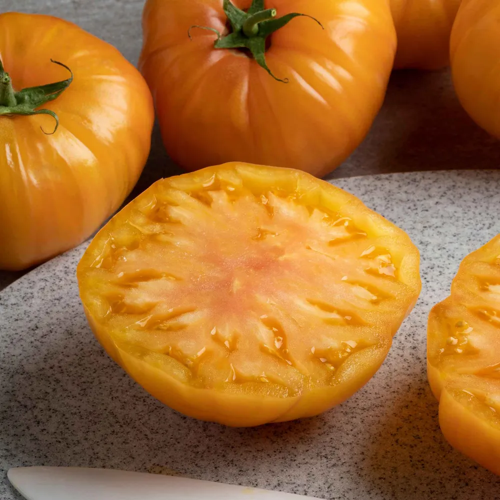 VEGSOW Persimmon Tomato Seeds - Heirloom Orange Tomato Variety