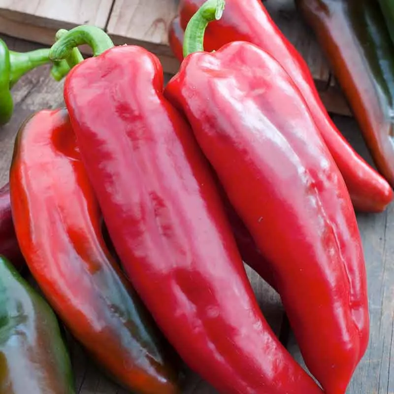 VEGSOW Corno di Toro Rosso Sweet Pepper Seeds - Heirloom Bull Horn Pepper