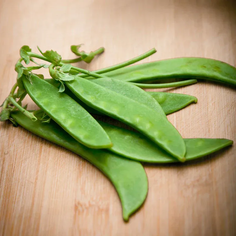VEGSOW Oregon Sugar Pod II Snow Pea Seeds - Heirloom Vegetable Garden Planting