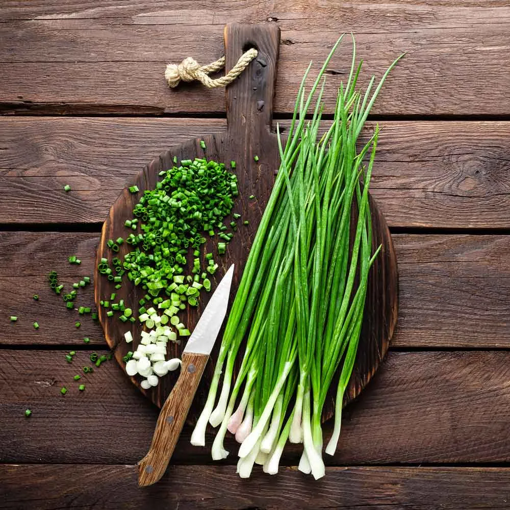 VEGSOW Parade Bunching Onion Seeds - Reliable Vegetable Seeds for Home Gardening