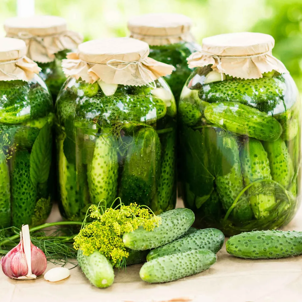 VEGSOW Organic Cucumber Seeds - Heirloom Variety for Homemade Pickles