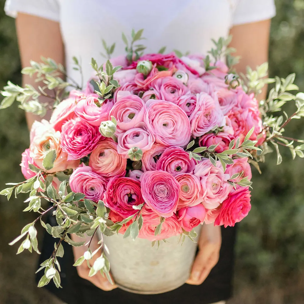 Ranunculus Bulbs - Pink Confetti Mix
