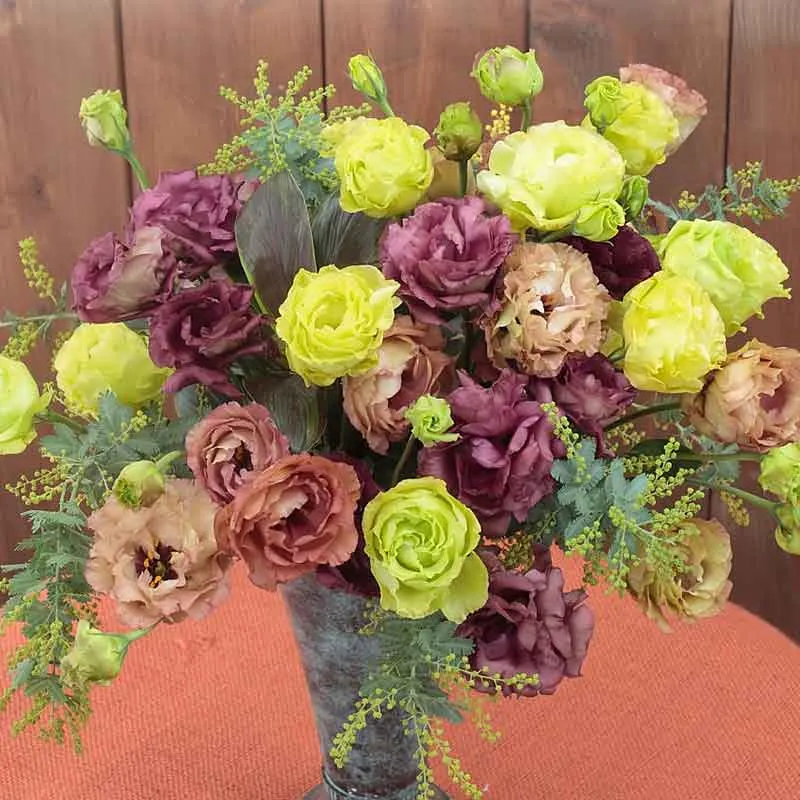VEGSOW Lisianthus Seeds - Rosanne Mix