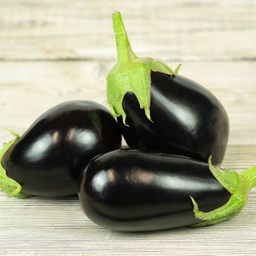 VEGSOW Black Eggplant Seeds - Heirloom Vegetable Seeds for Home Gardening