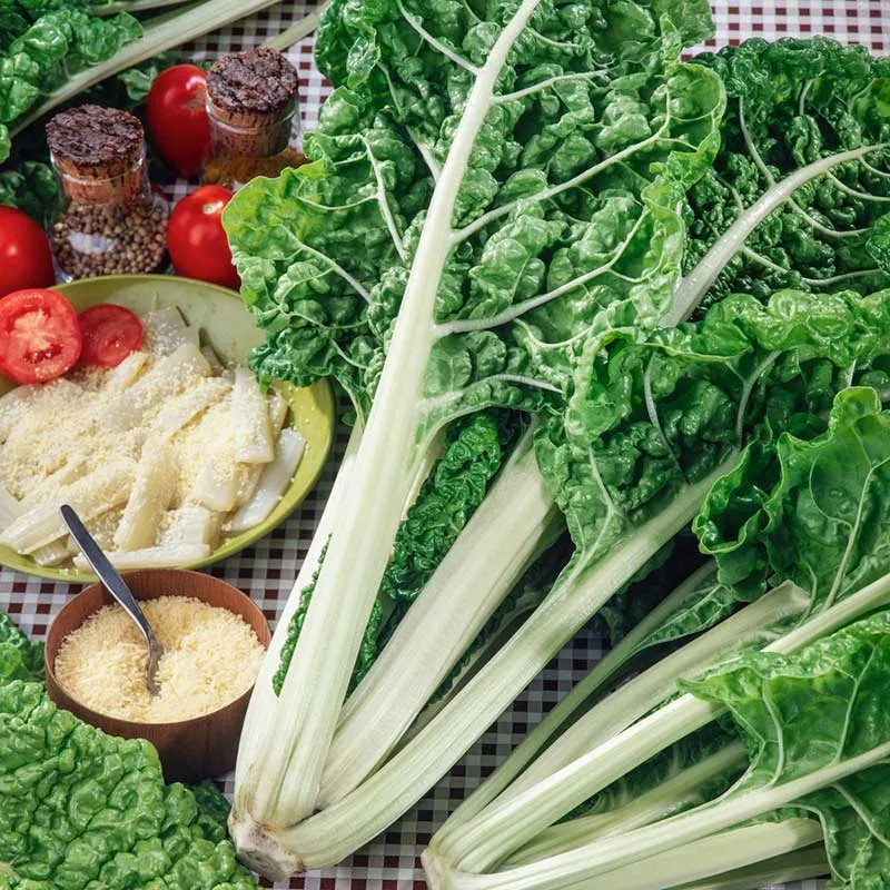 VEGSOW Lucullus Swiss Chard Seeds - Heirloom Vegetable Seeds for Home Gardening