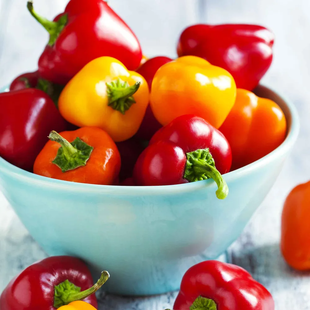 VEGSOW Mini Bell Pepper Seeds - Sweet Multi-Color Blend