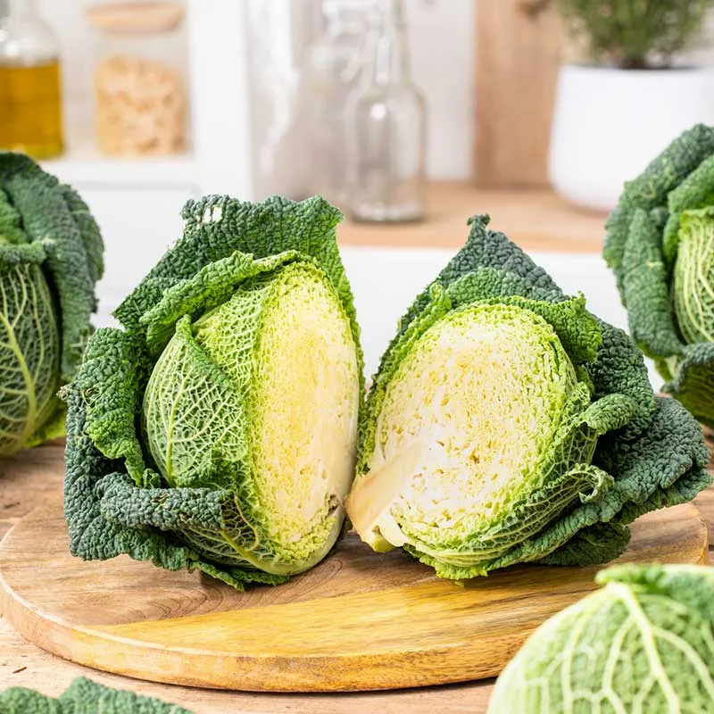 Savoy Cabbage Seeds - Heirloom Vegetable Seeds for Home Gardening