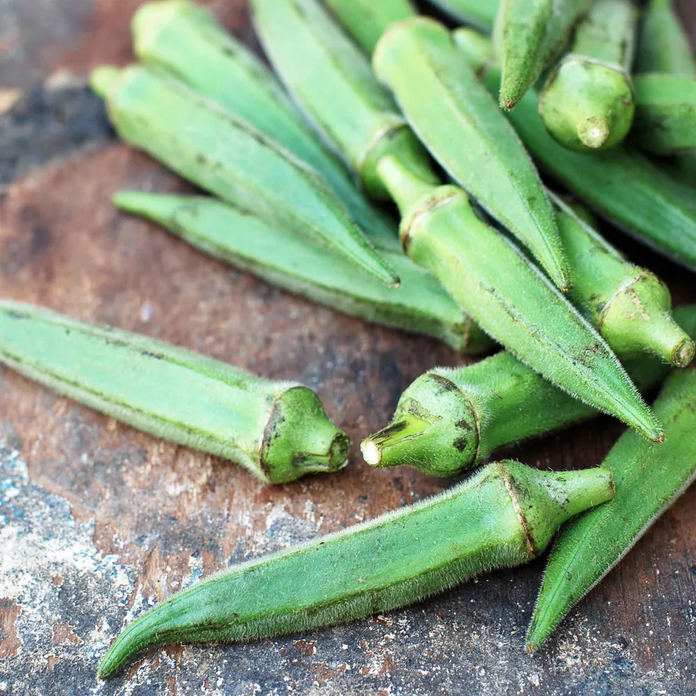 VEGSOW Emerald Okra Seeds - High Germination Heirloom Vegetable Seeds