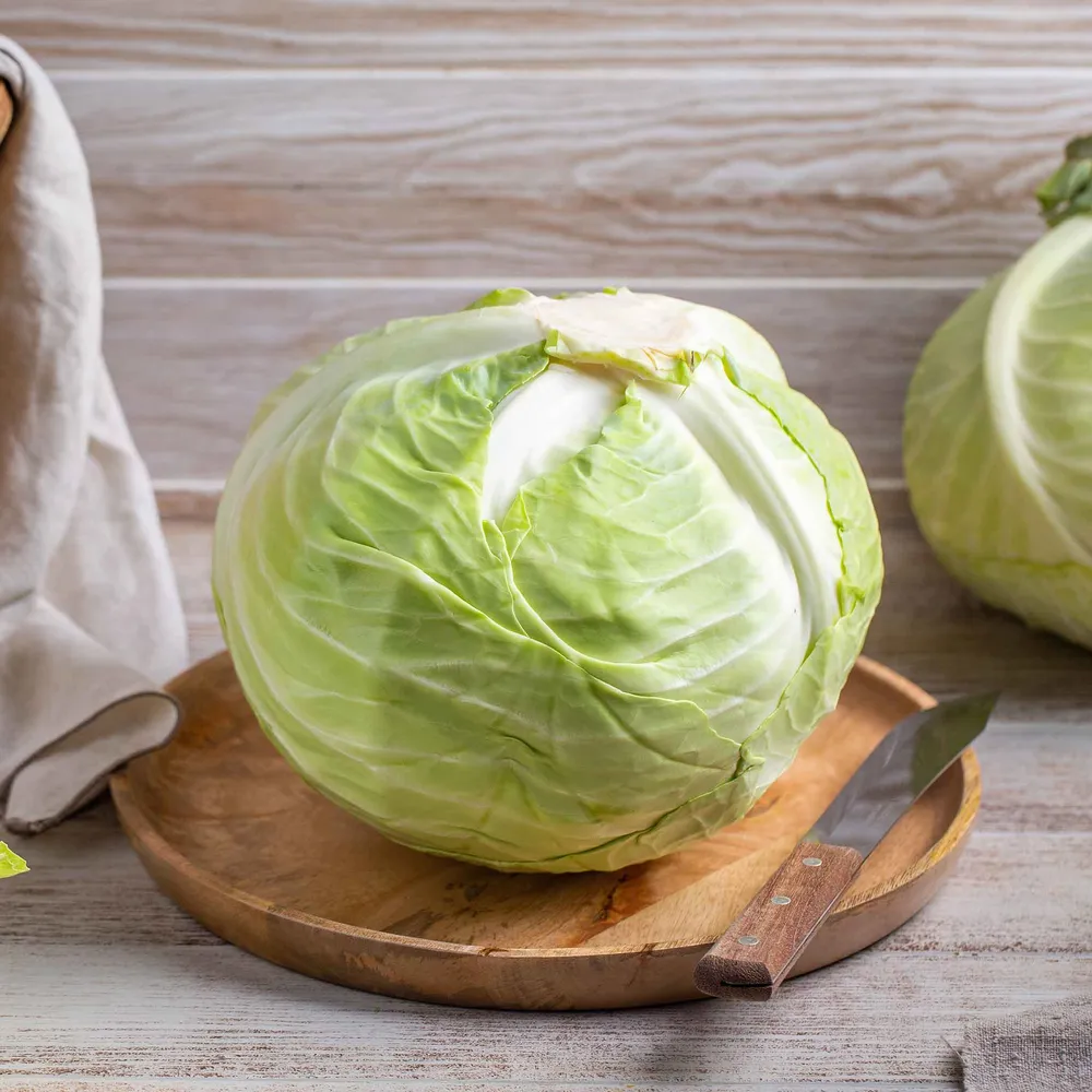 VEGSOW Brunswick Cabbage Seeds - Heirloom Vegetable Seeds