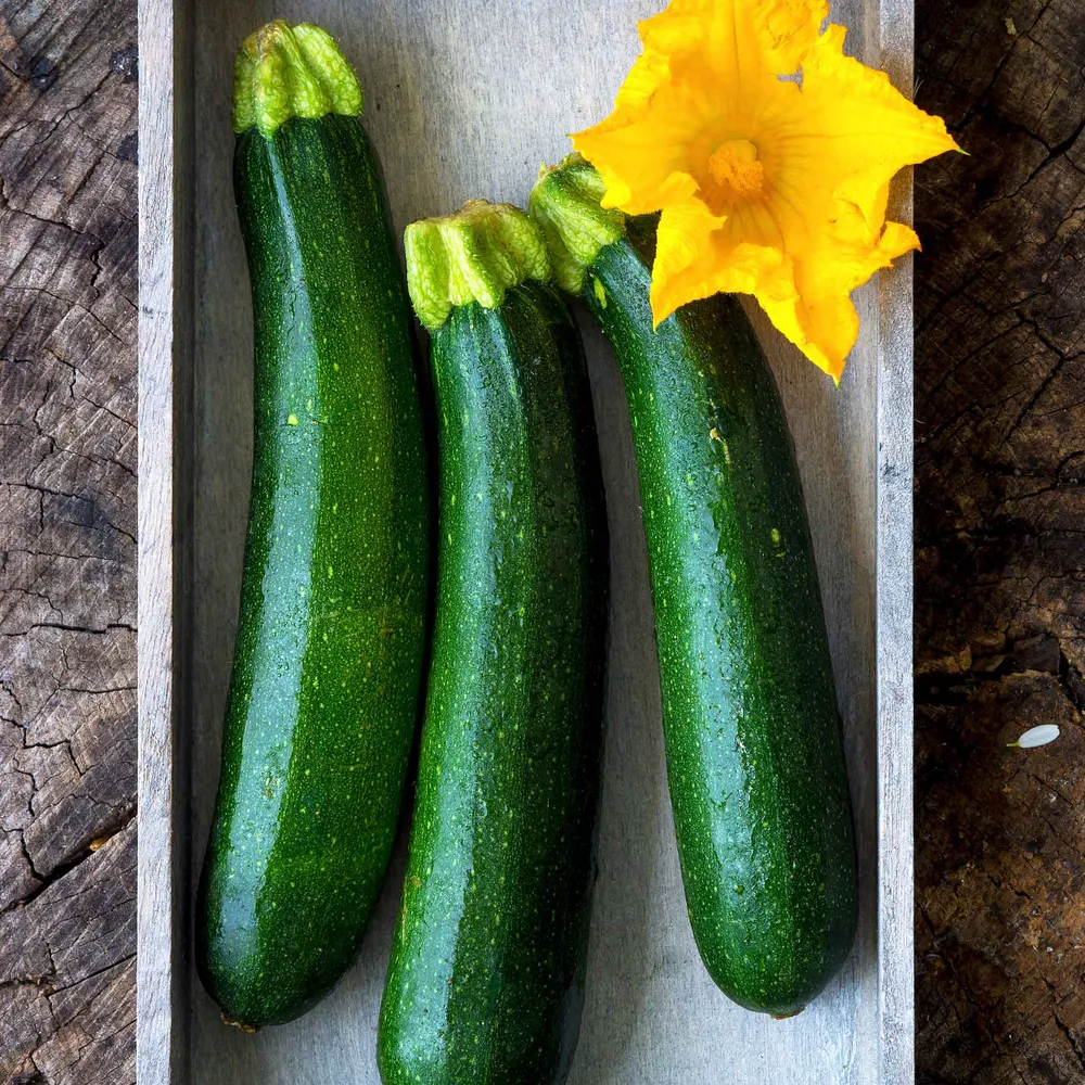 VEGSOW Organic Fordhook Zucchini Squash Seeds - Heirloom Vegetable Seeds