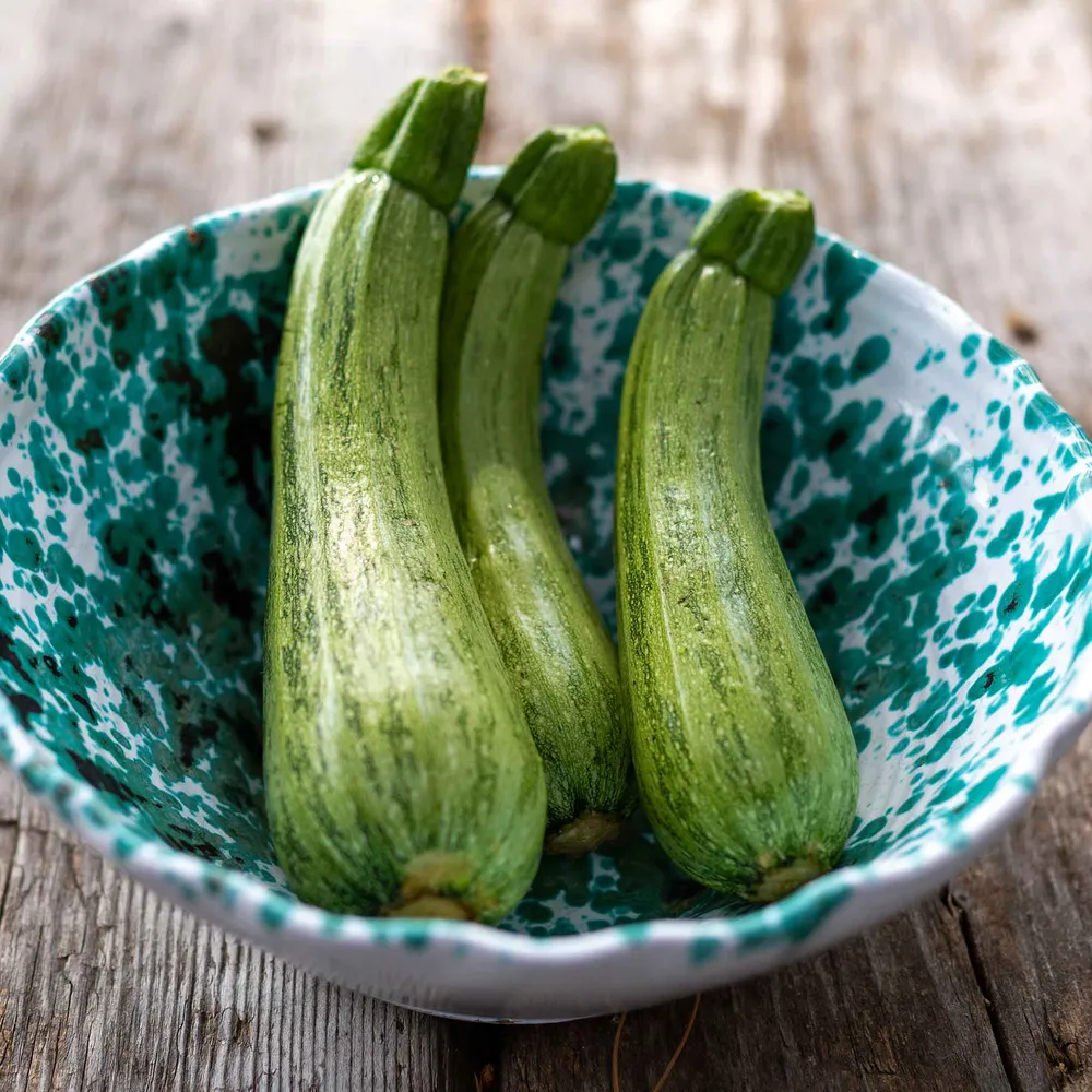 VEGSOW Caserta Summer Squash Seeds - Heirloom Vegetable Planting Seeds