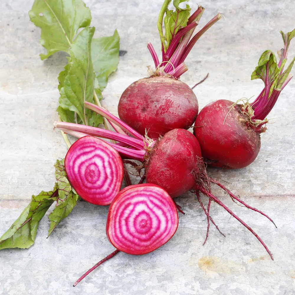 VEGSOW Chioggia Beet Seeds - Heirloom Candy Cane Beetroot Seeds