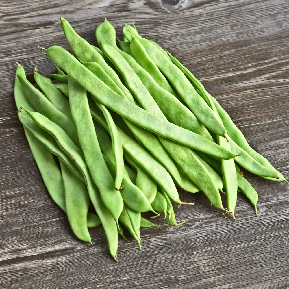 VEGSOW Roma II Bush Bean Seeds - High Germination Heirloom Vegetable Seeds