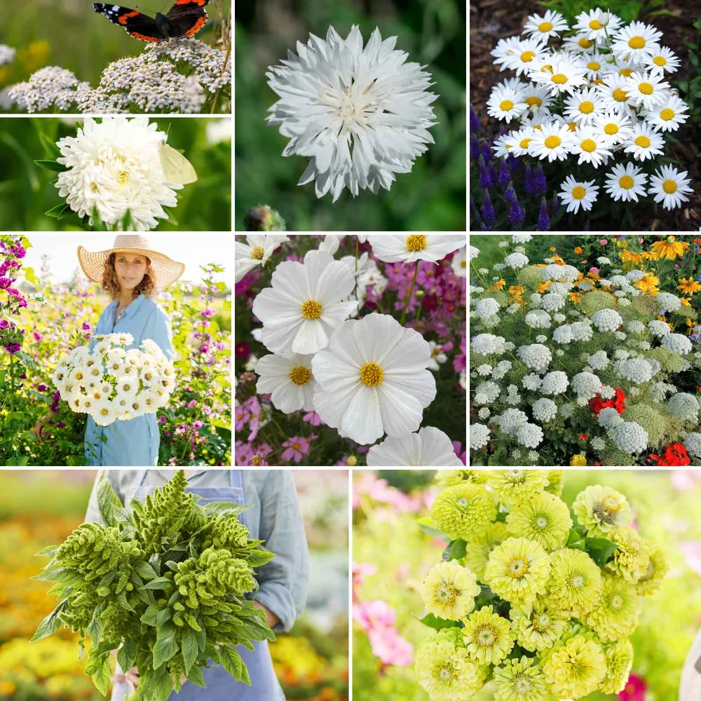 VEGSOW Green with Envy Flower Seed Mix