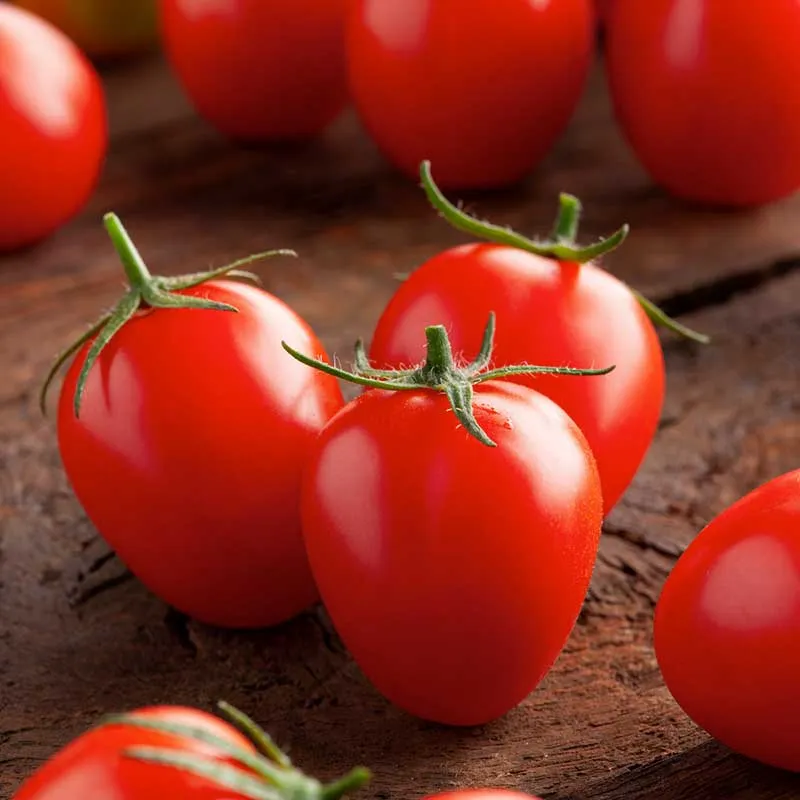 VEGSOW Principe Borghese Tomato Seeds - Heirloom Italian Variety