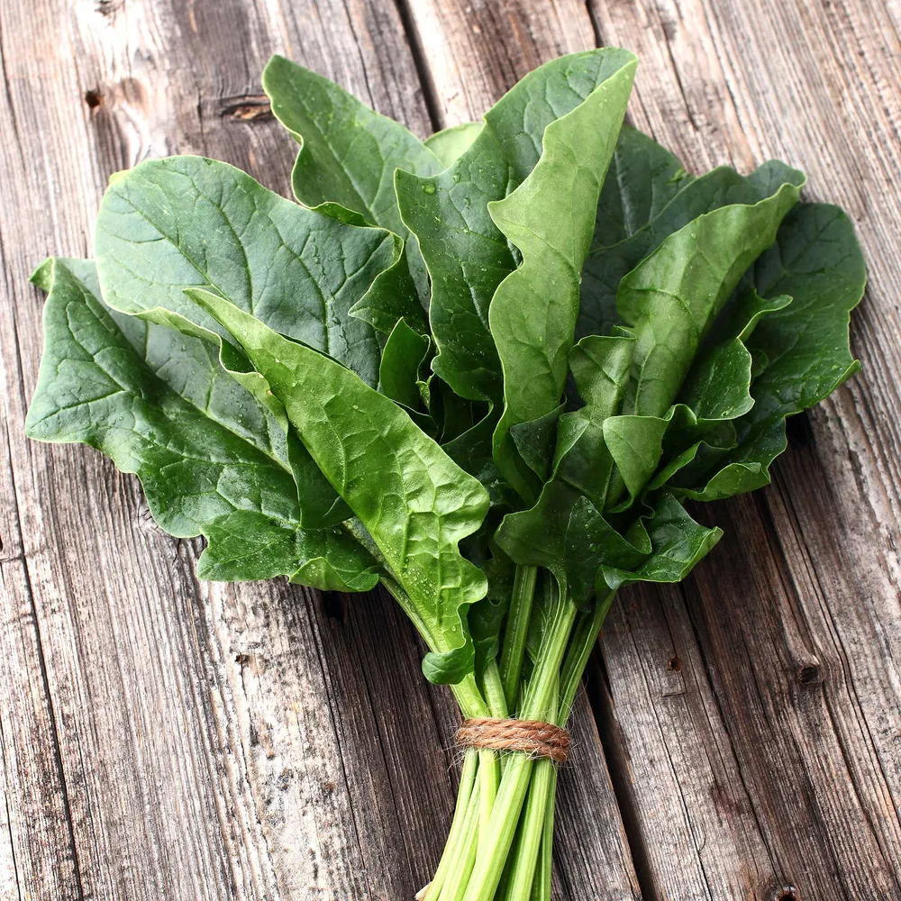 VEGSOW Bloomsdale Long Standing Spinach Seeds - Heirloom Vegetable Seeds