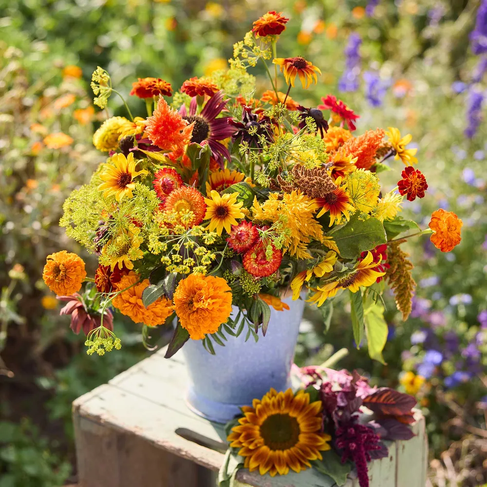 VEGSOW Summer's Peak Bouquet Bundle - Seasonal Flower Seed Assortment