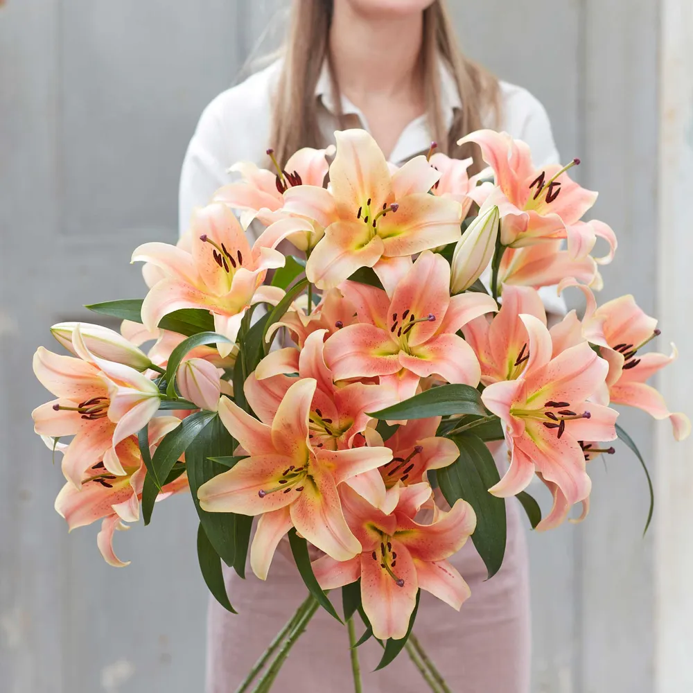 VEGSOW Zelmira Lily Bulbs for Garden Planting