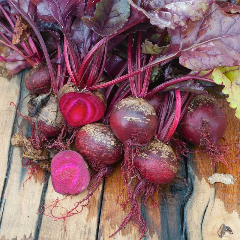 VEGSOW Bulls Blood Beet Seeds - Heirloom Garden Vegetable Seeds