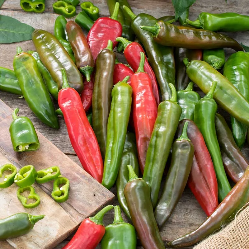 VEGSOW Anaheim Chili Pepper Seeds - Organic Heirloom Vegetable Seeds