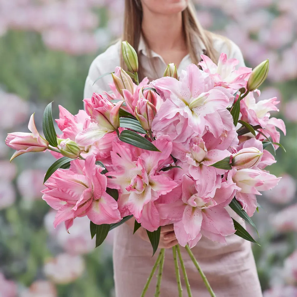 VEGSOW Double Pink Lily Bulbs - Perennial Flower Bulbs for Garden Planting