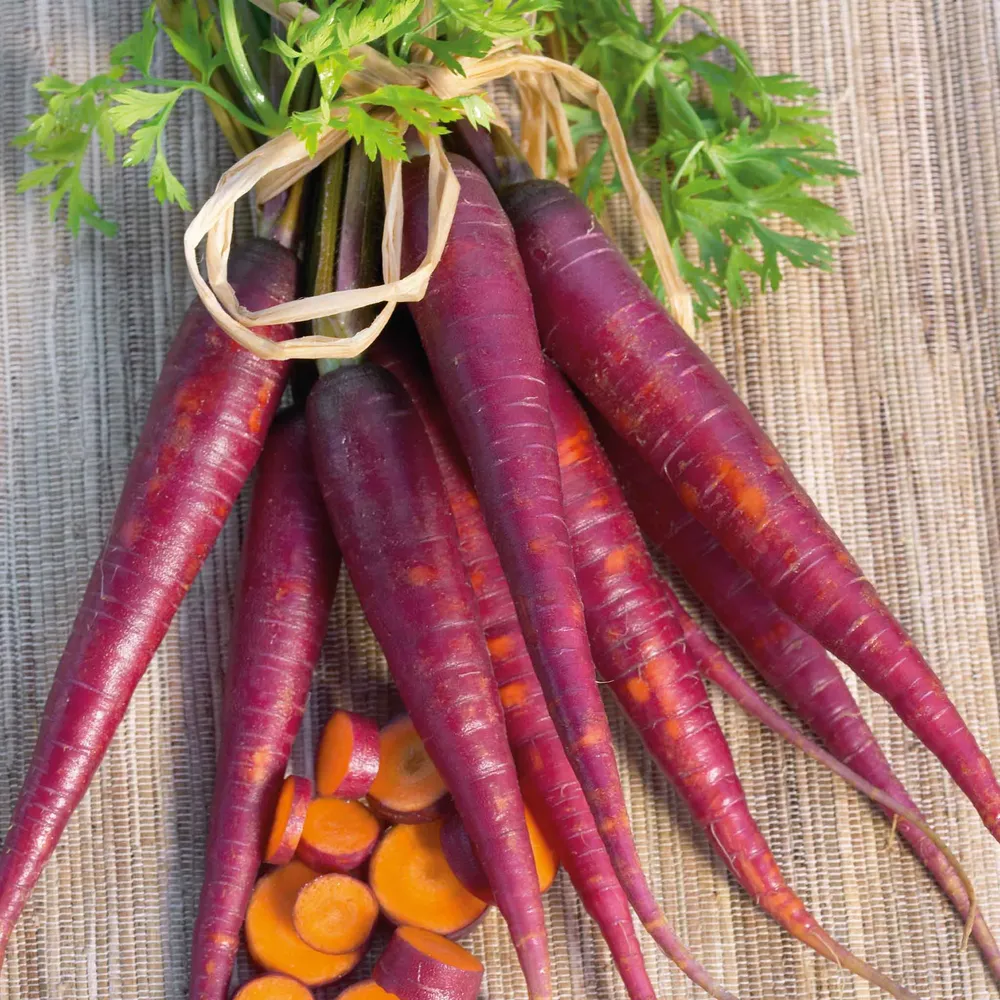 VEGSOW Cosmic Purple Carrot Seeds - Heirloom Vegetable Seeds