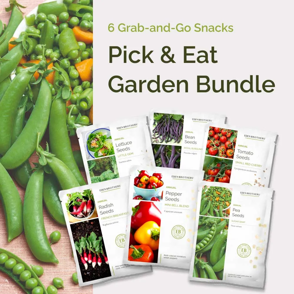 VEGSOW Pick & Eat Garden Bundle - Vegetable Seed Variety Pack