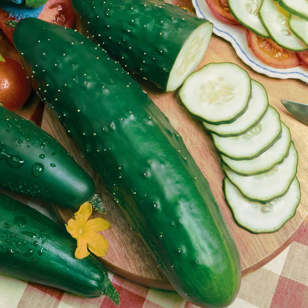 VEGSOW Ashley Cucumber Seeds - Heirloom Vegetable Seeds for Home Gardening