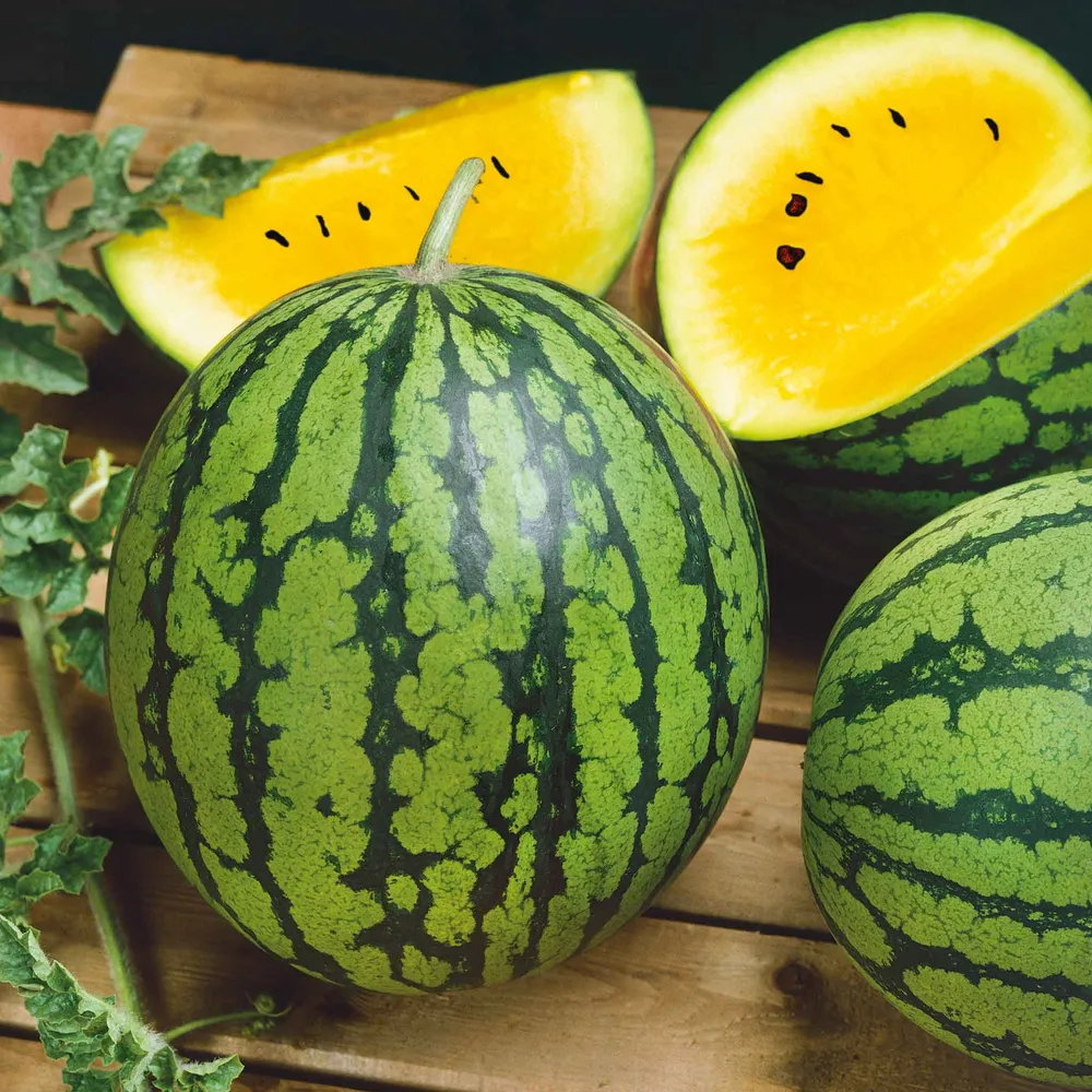 VEGSOW Yellow Petite Watermelon Seeds - Heirloom Vegetable Variety