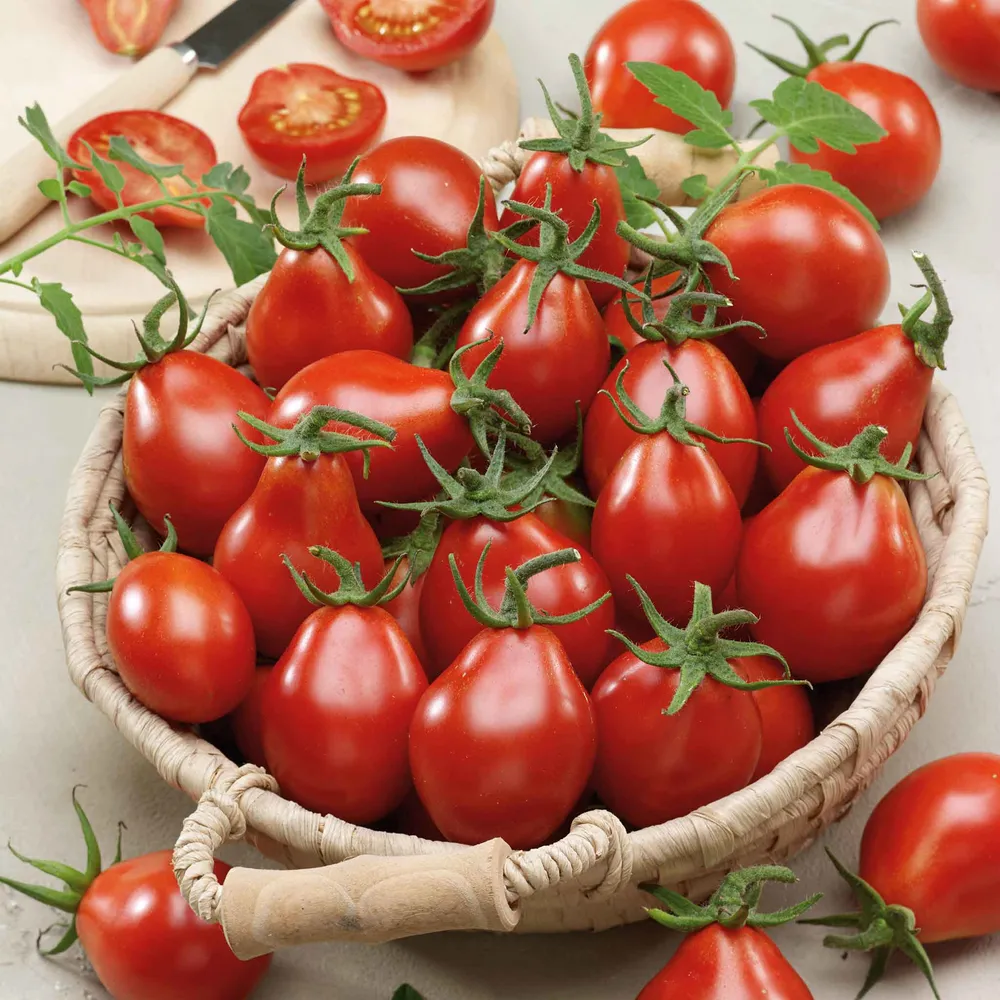 VEGSOW Red Pear Tomato Seeds - Heirloom Vegetable Seeds for Home Gardening