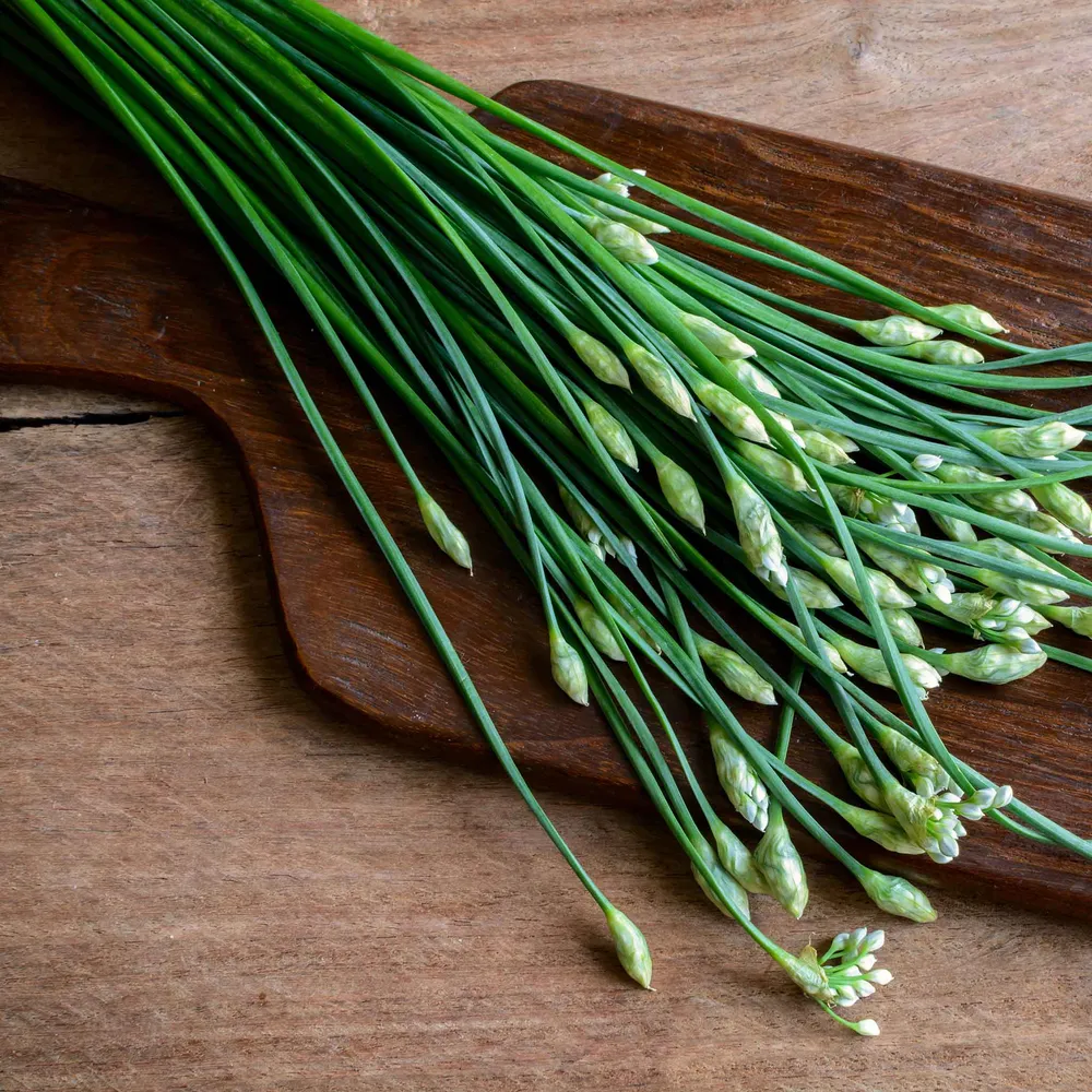 VEGSOW Garlic Chives Seeds - Heirloom Allium Tuberosum Herb Seeds