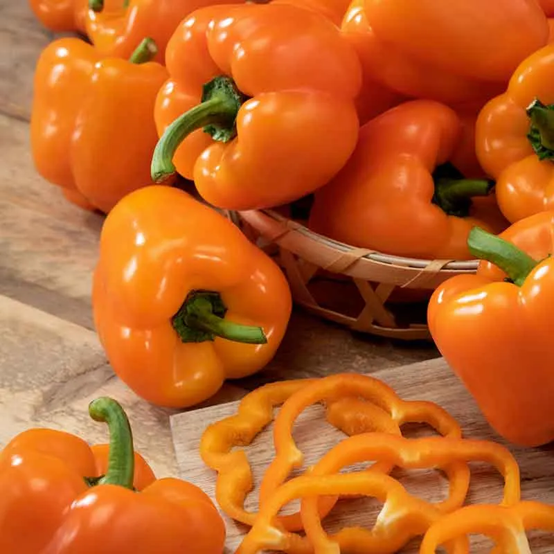 VEGSOW Orange King Sweet Pepper Seeds - High-Yield Heirloom Vegetable Seeds
