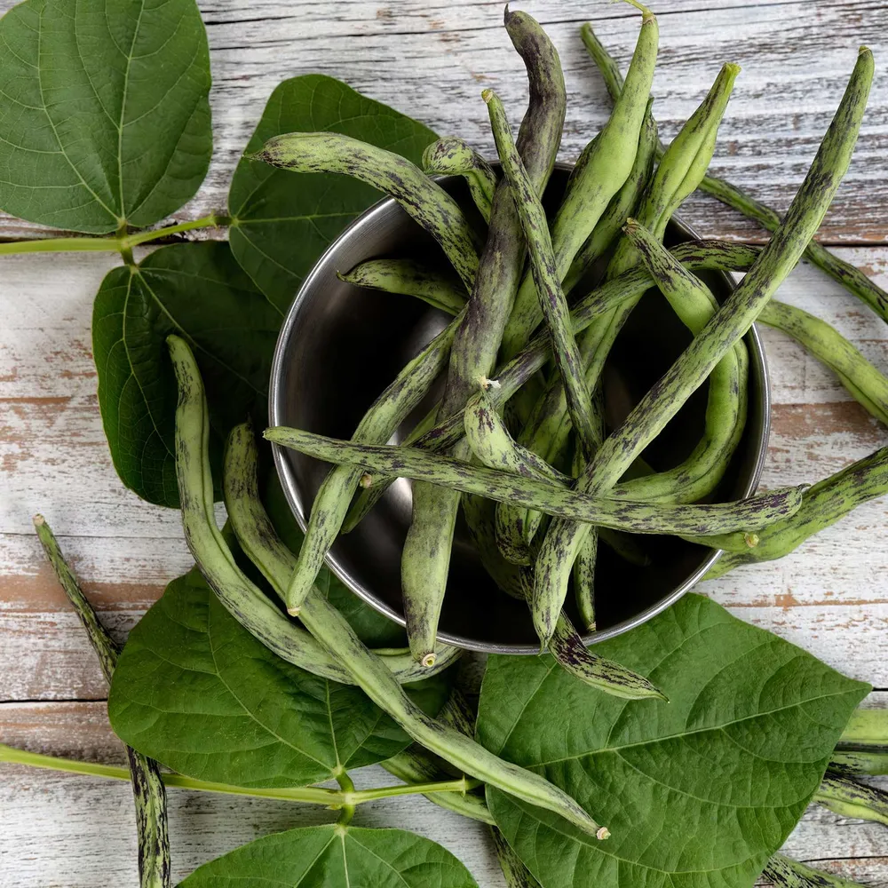 VEGSOW Rattlesnake Pole Bean Seeds - Organic Heirloom Vegetable Seeds