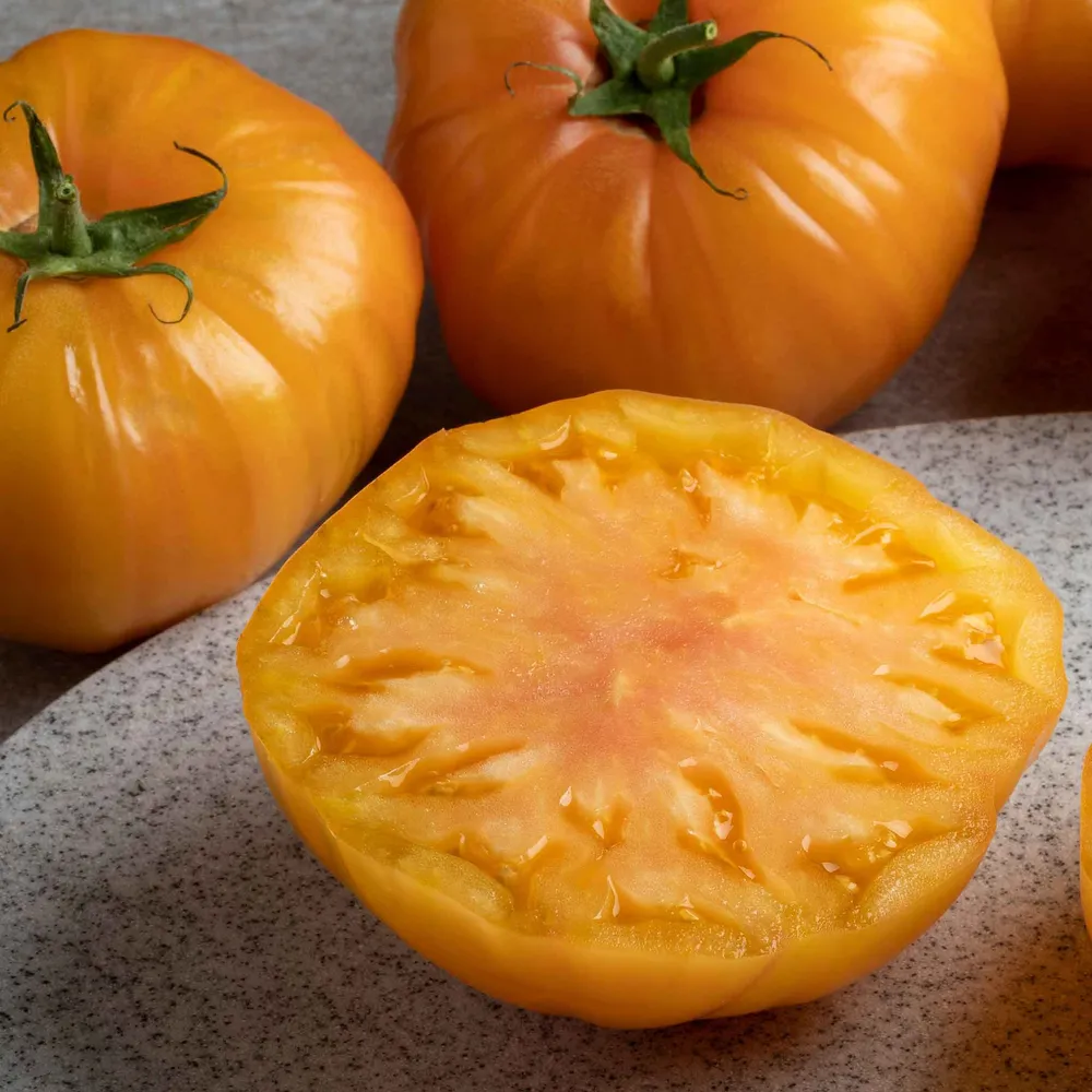 VEGSOW Striped German Tomato Seeds - Heirloom Vegetable Seeds