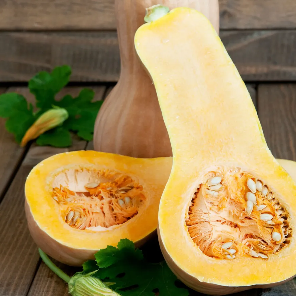 VEGSOW Waltham Butternut Squash Seeds - Heirloom Winter Squash Seeds