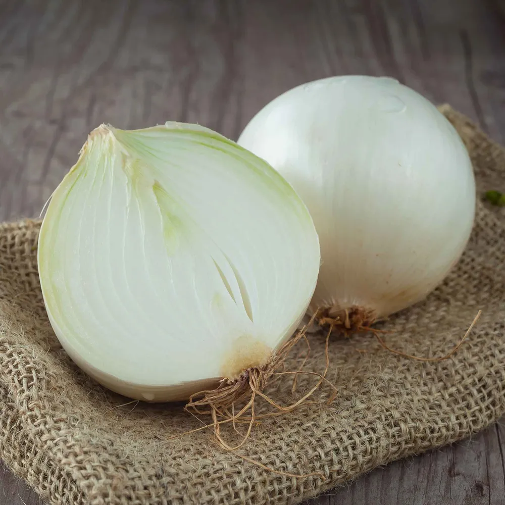VEGSOW White Sweet Spanish Onion Seeds - Long Day Variety