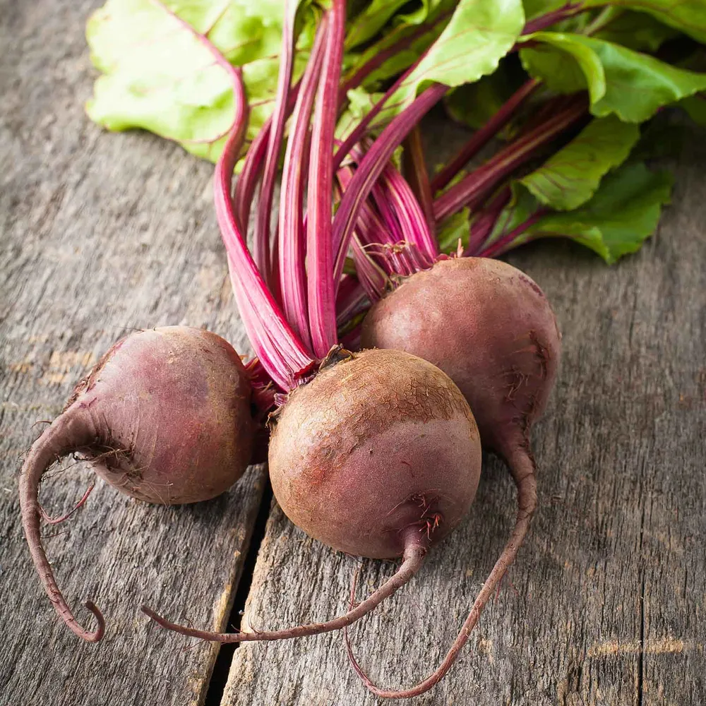 VEGSOW Lutz Green Leaf Beet Seeds - Heirloom Vegetable Seeds