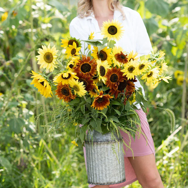 VEGSOW Sunflower Seed Mix - Assorted Varieties for Garden Planting