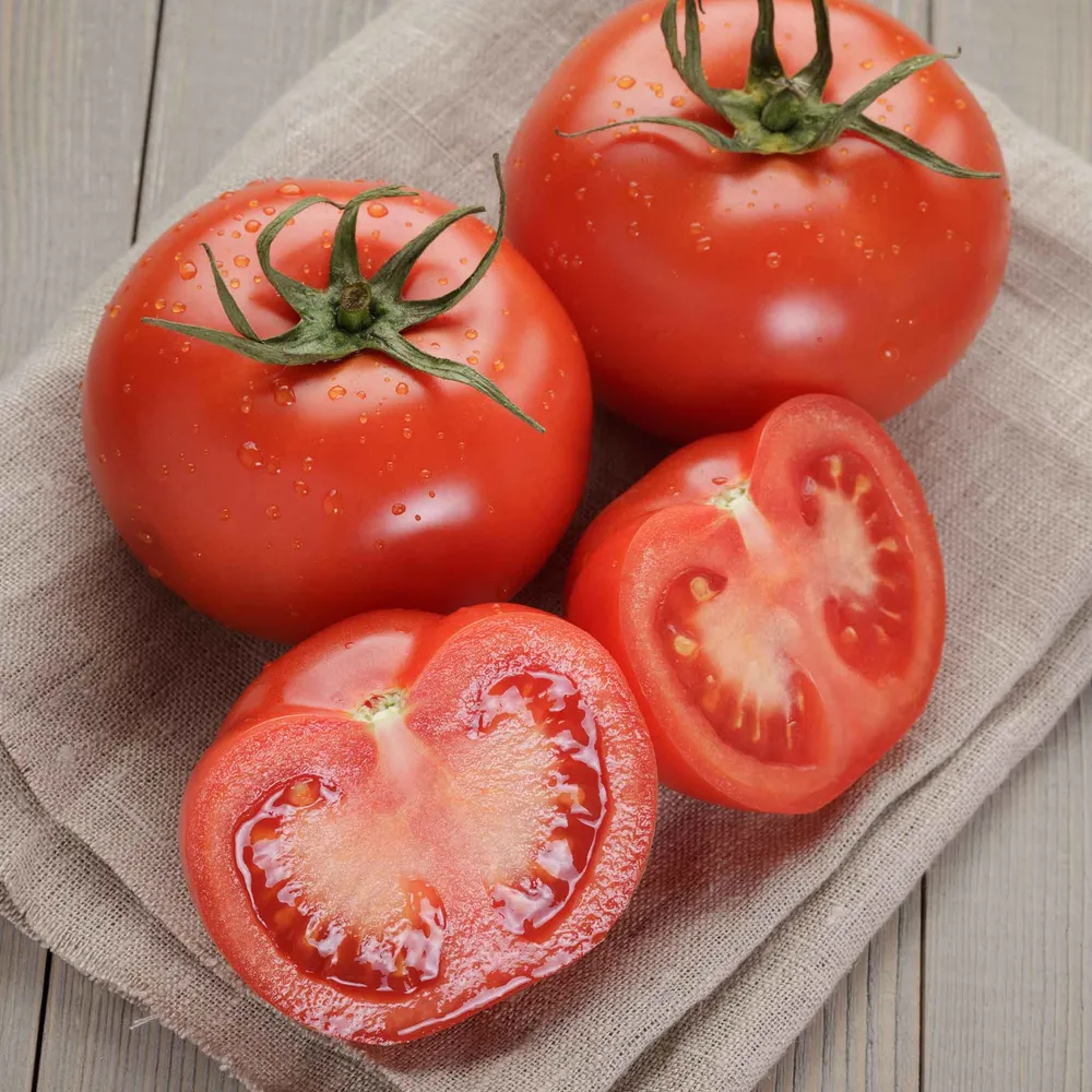 VEGSOW Homestead Tomato Seeds - Heirloom Vegetable Seeds for Home Gardening
