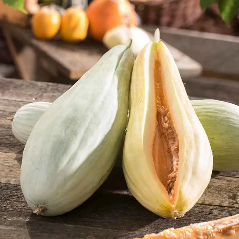 VEGSOW Banana Melon Seeds - Heirloom Fruit Seeds for Home Gardening