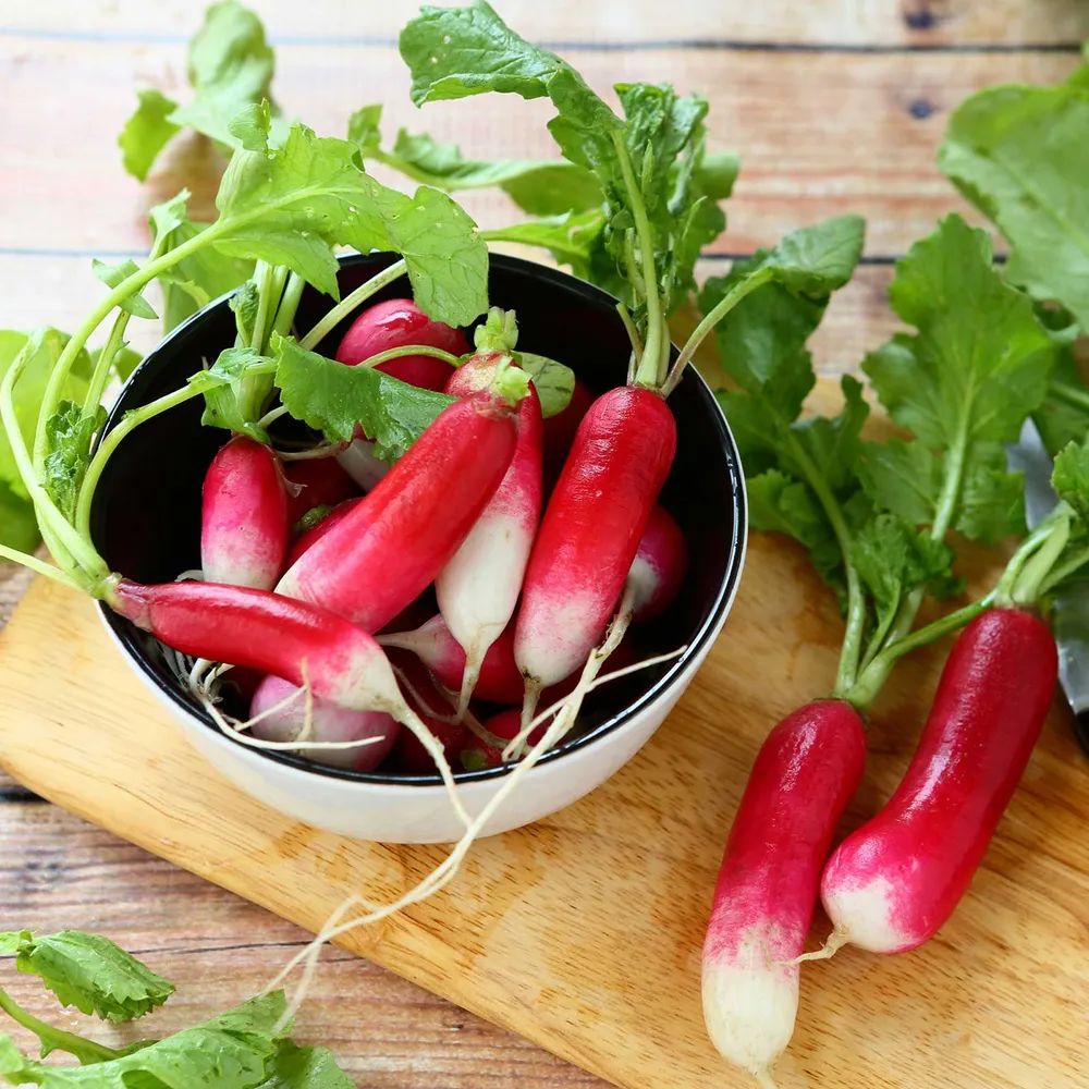 French Breakfast Radish Seeds (Organic) - Heirloom Vegetable Seeds
