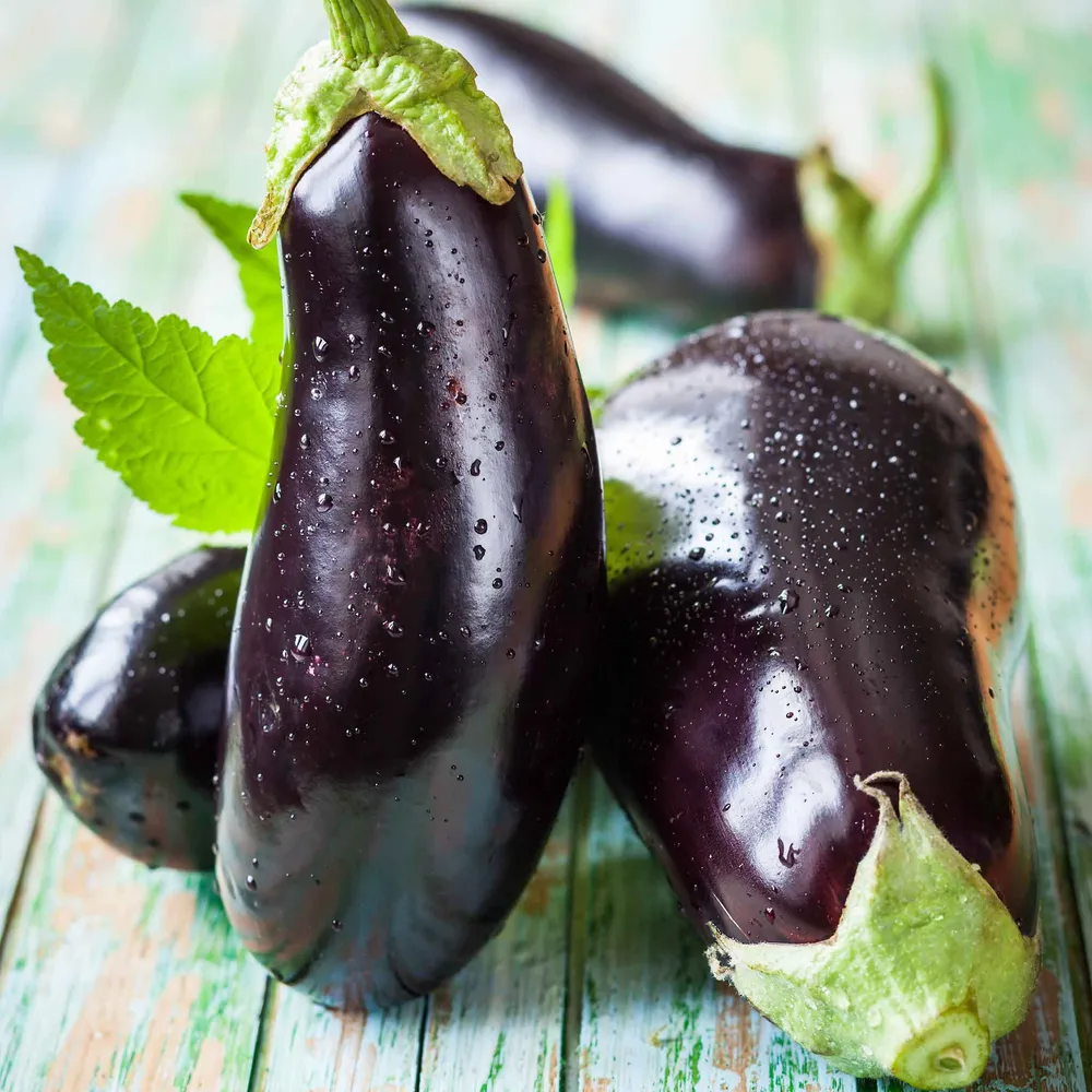 VEGSOW Black Beauty Eggplant Seeds - Heirloom Vegetable Seeds for Home Gardening