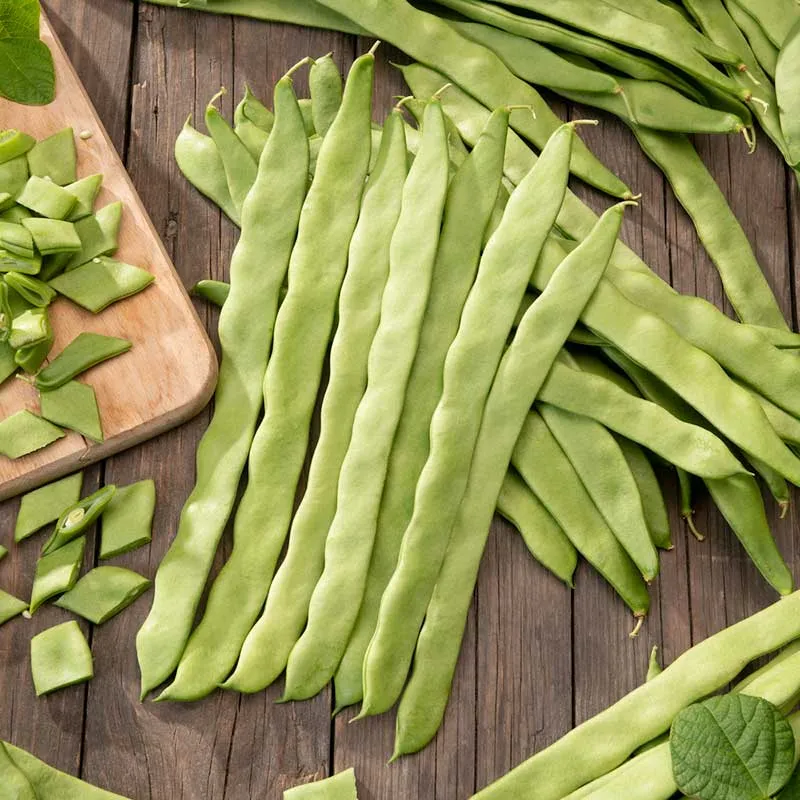 VEGSOW Romano Bush Bean Seeds - Heirloom Vegetable Seeds for Home Gardening