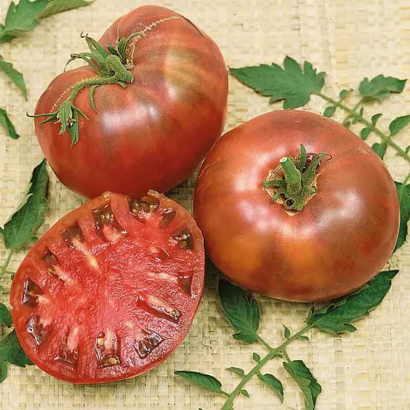 VEGSOW Cherokee Purple Tomato Seeds - Heirloom Vegetable Seeds for Home Gardens