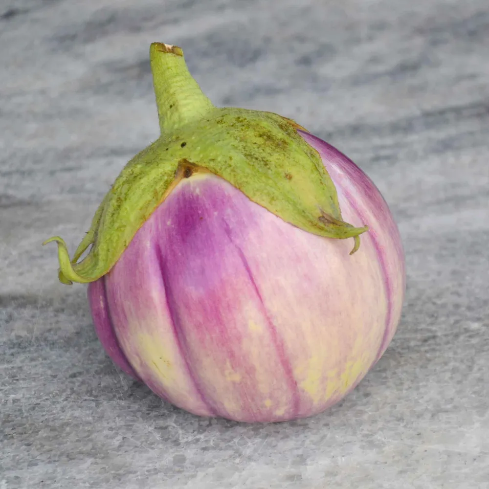 VEGSOW Rosa Bianca Eggplant Seeds - Heirloom Vegetable Seeds