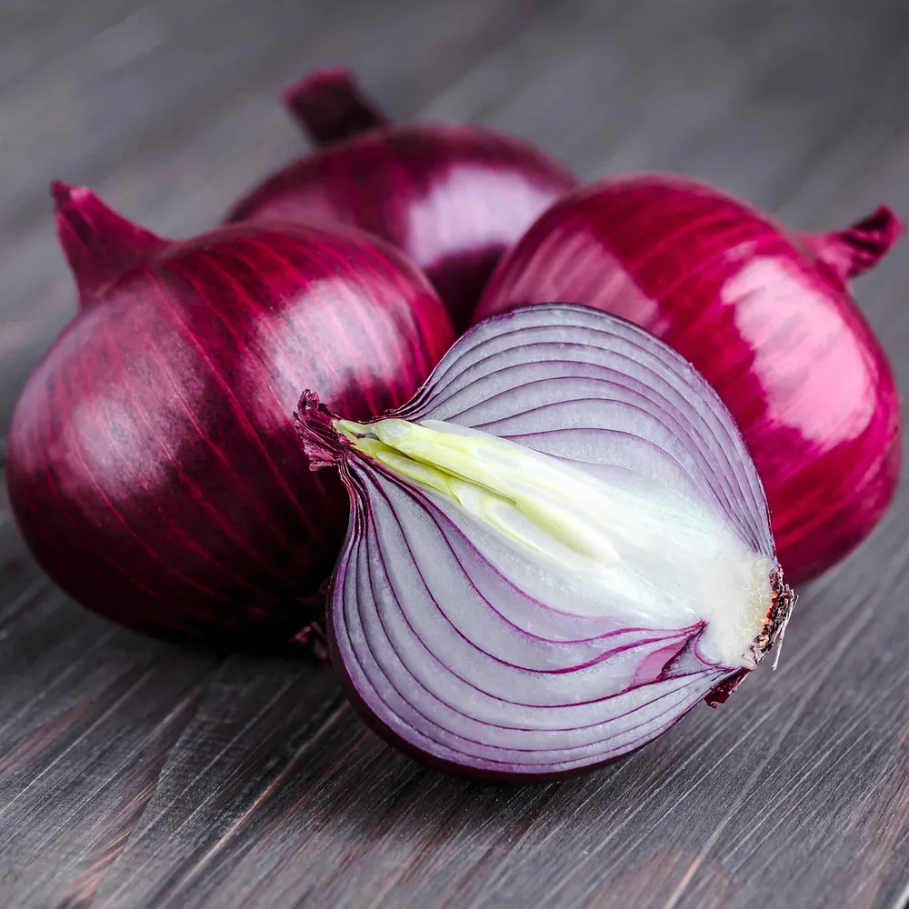 VEGSOW Ruby Red Onion Seeds - Long Day Variety