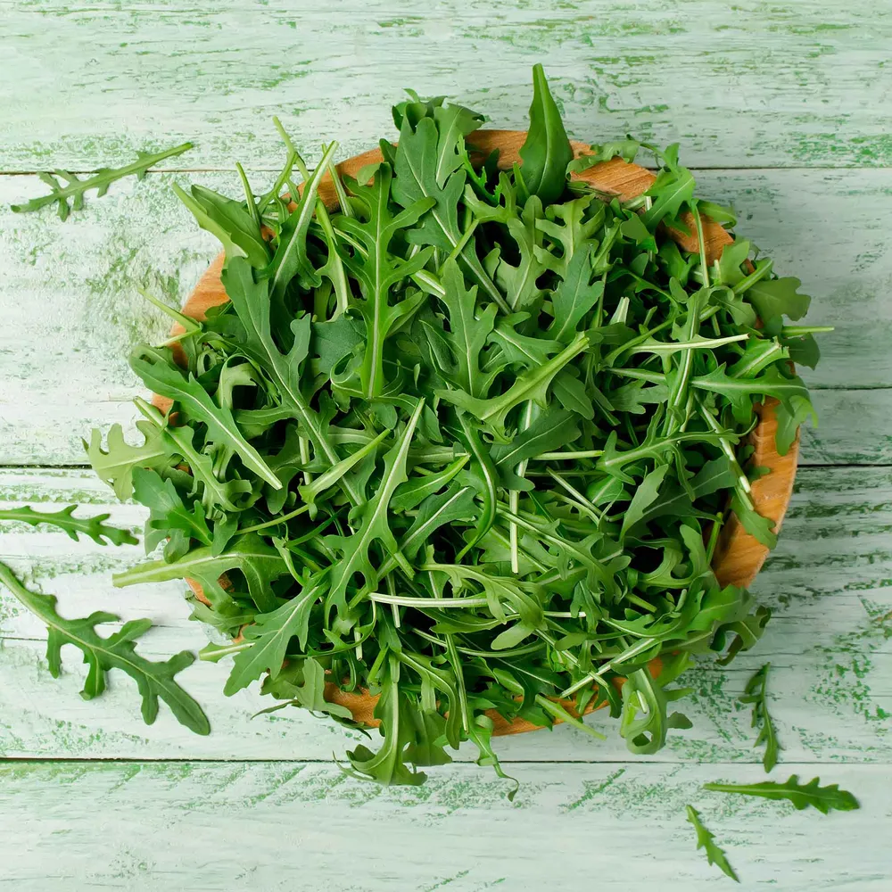 VEGSOW Arugula Seeds - Wild Rocket for Microgreens and Garden Planting
